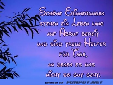 10 sch�ne Spr�che und Lebensweisheiten aus...