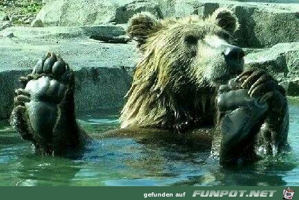 relax relax