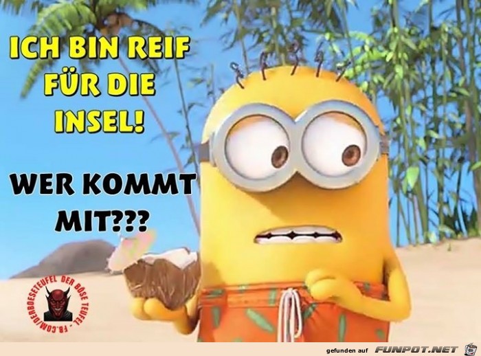 insel insel