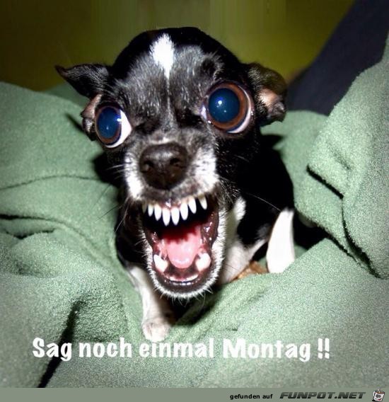 sag noch einmal Montag sag noch einmal Montag
