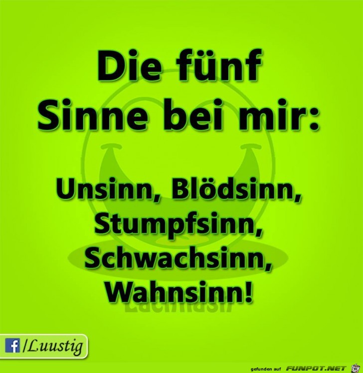 Die fuenf Sinne Die fuenf Sinne