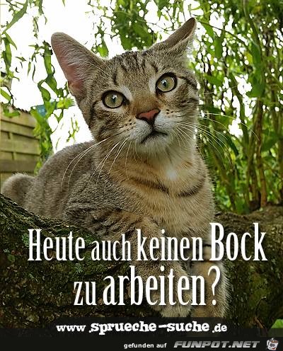 Heute auch keinen Bock Heute auch keinen Bock