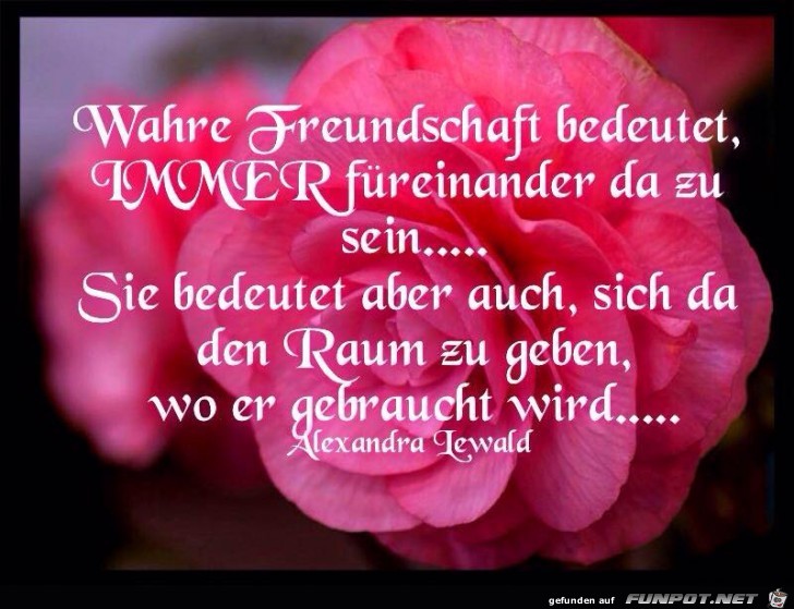 Wahre Freundschaft