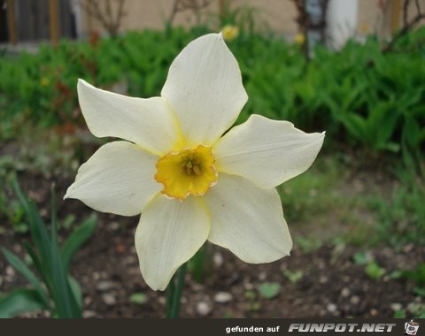 DSC00303 DSC00303