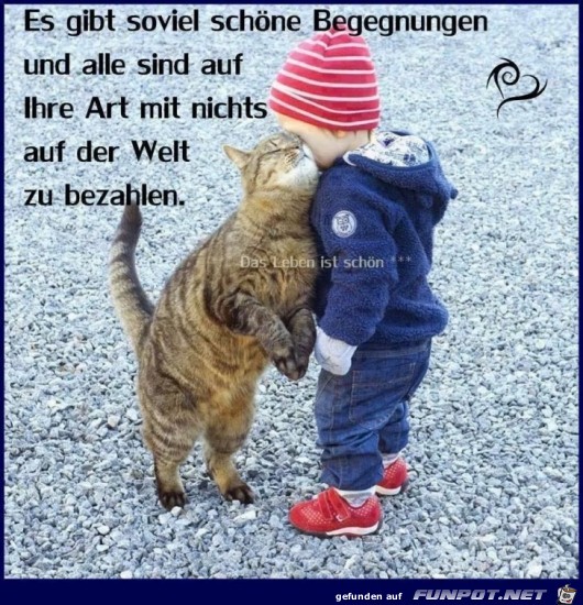 Begegnungen Begegnungen