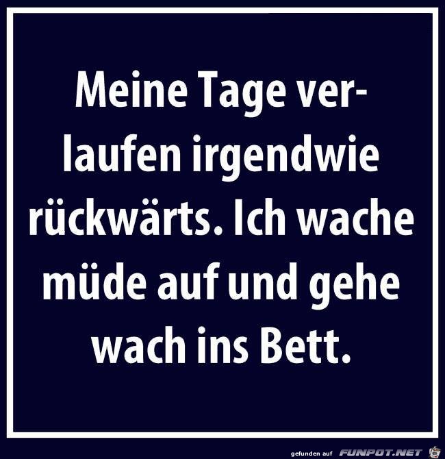 Meine Tage