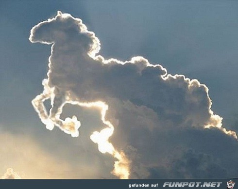 wolkenpferd wolkenpferd