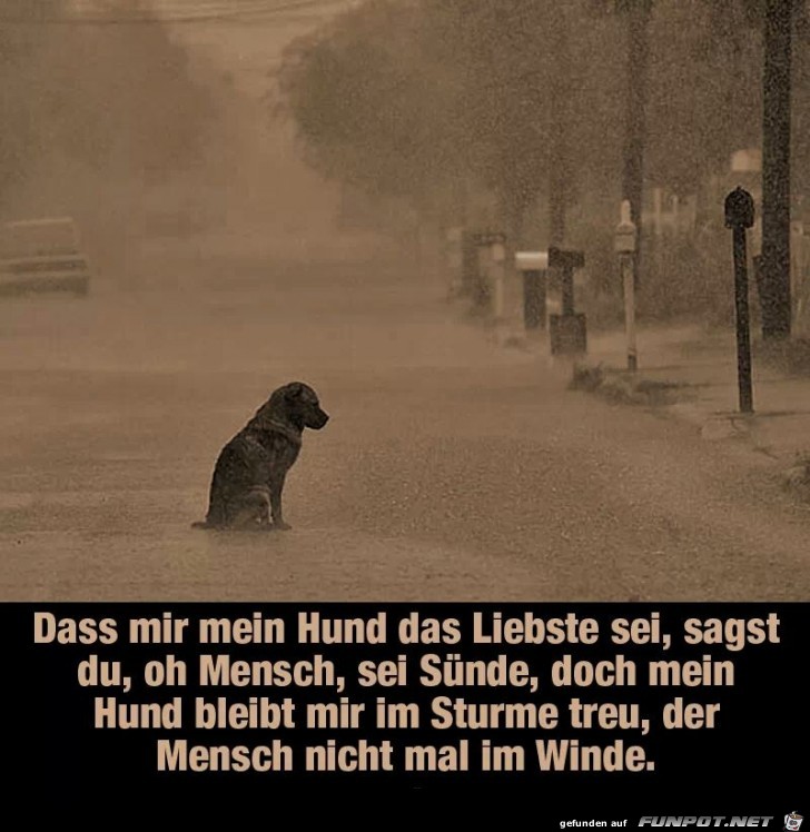 im sturme treu im sturme treu