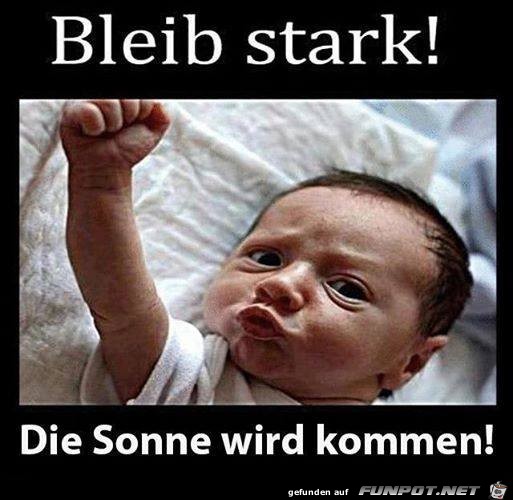 bleib stark