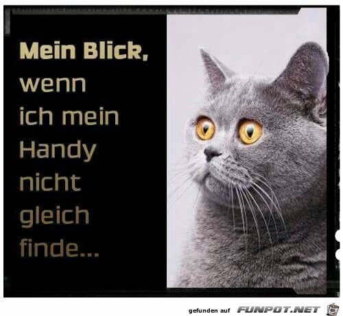 Mein Blick