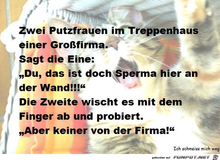 Zwei Putzfrauen