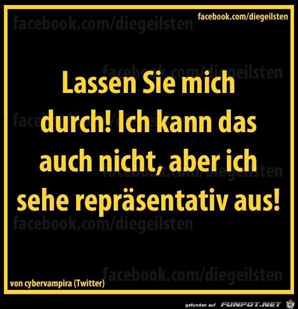 diegeilsten repraesentativ diegeilsten repraesentativ