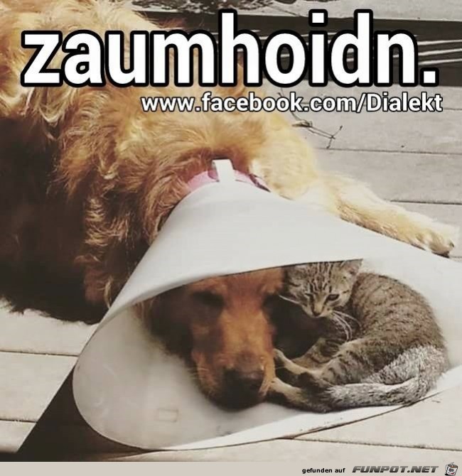 ZUSAMMENHALTEN ZUSAMMENHALTEN