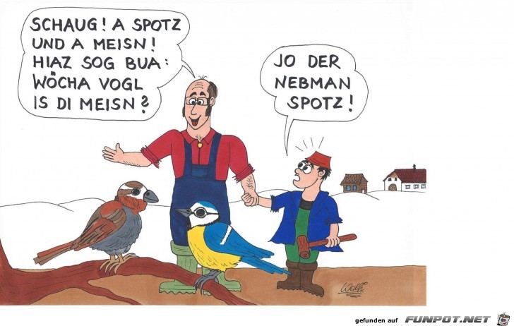 spotz spotz