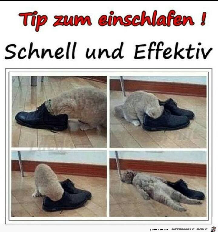 Tip zum einschlafen