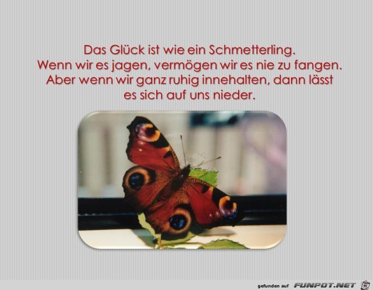 Das Glueck ist wie ein Schmetterling Das Glueck ist wie ein Schmetterling