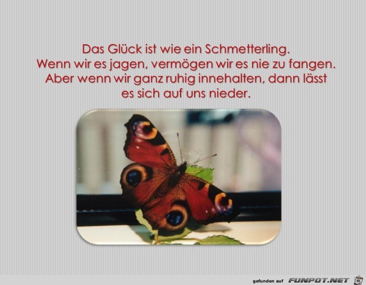 Das Glueck ist wie ein Schmetterling