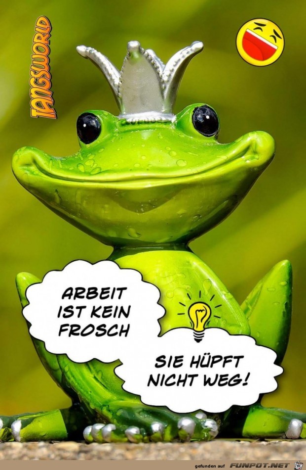 Arbeit ist kein Frosch