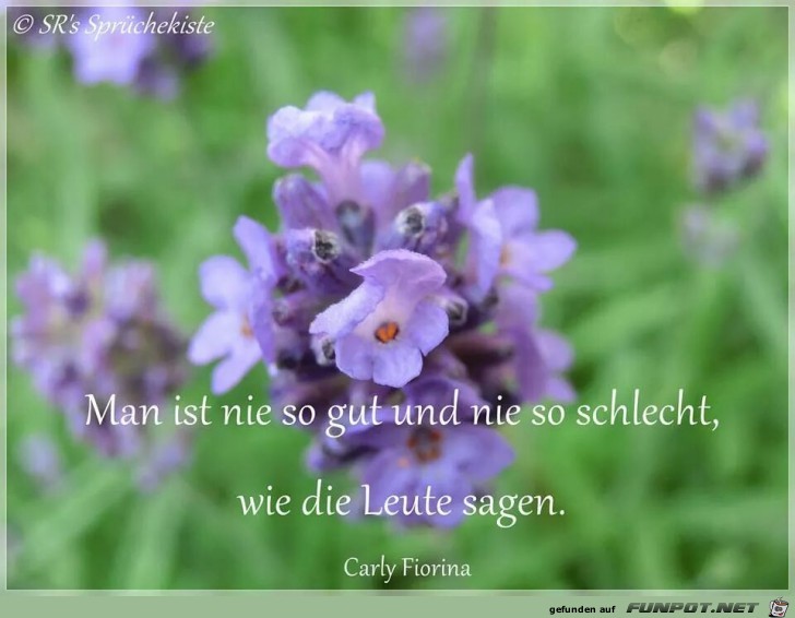 Leute Leute