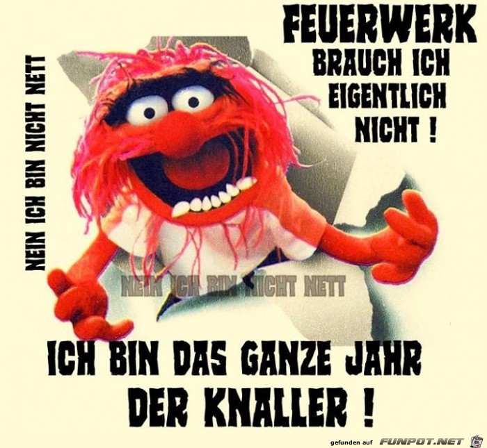feuerwerk feuerwerk