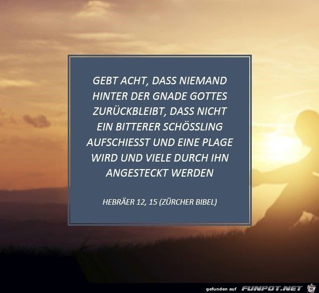 Hebraeer 12 15 Hebraeer 12 15