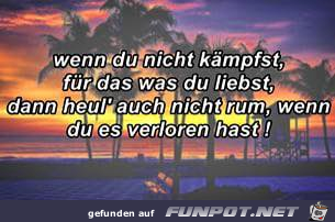 wenn du nicht kaempfst wenn du nicht kaempfst