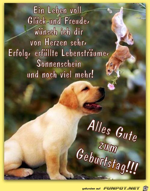 Ein Leben voll Glueck Ein Leben voll Glueck