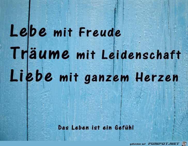 lebe mit Freude