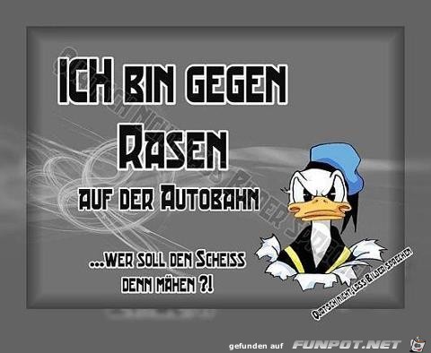 Rasen auf der Autobahn Rasen auf der Autobahn