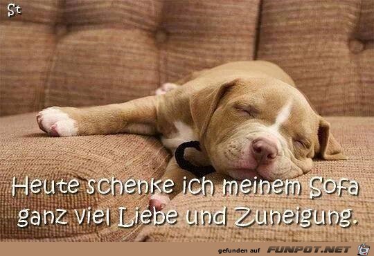 Sofa Sofa