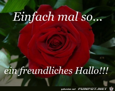 einfach mal so ein freundliches hallo einfach mal so ein freundliches hallo