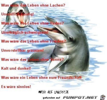 Leben ohne Lachen