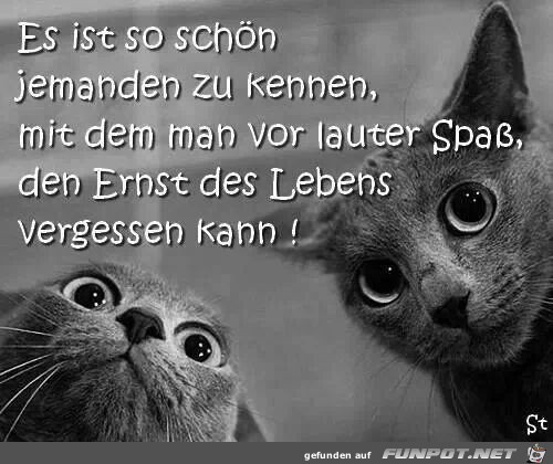 Es ist so schn...