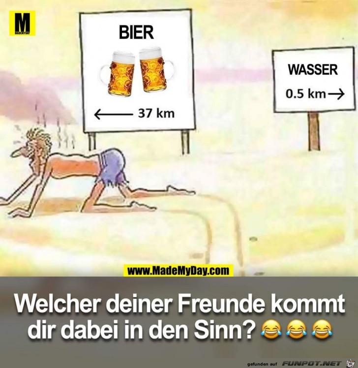 Bier - Wasser