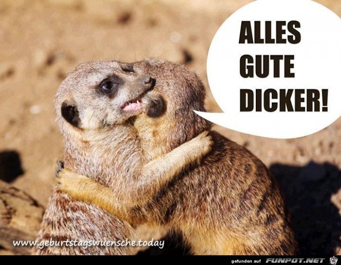 alles gute dicker