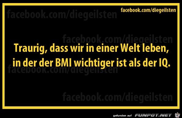 diegeilsten BMI