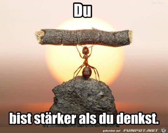 staerker