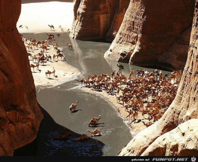Awesome Pictures 20 Awesome Pictures 20