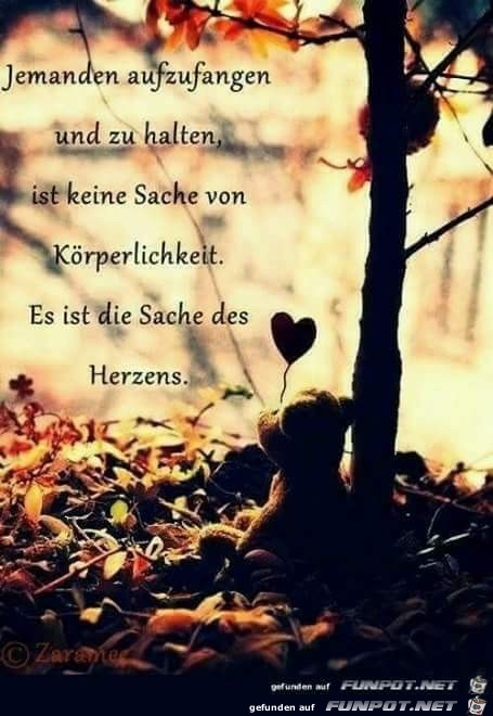 sache des herzens sache des herzens