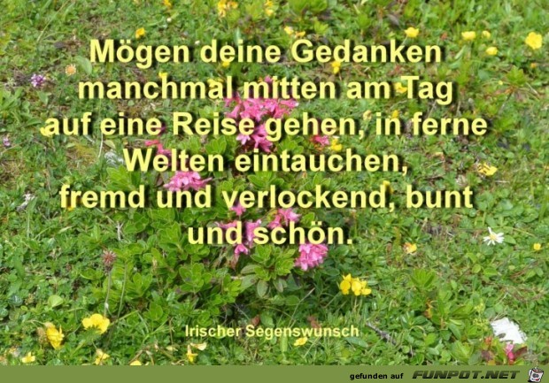 moegen deine Gedanken FILEminimizer moegen deine Gedanken FILEminimizer