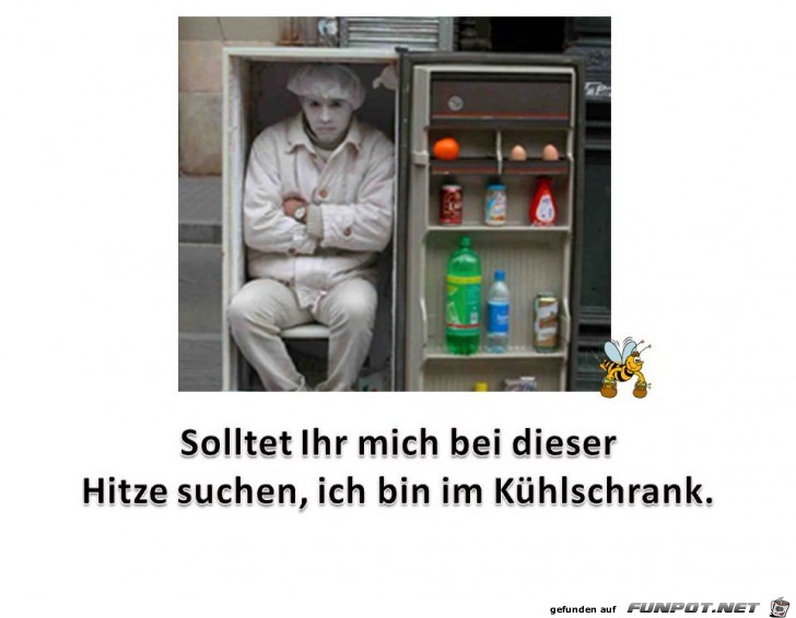 witzige Bilder aus verschiedenen Blogs