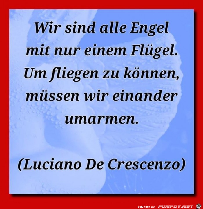 fliegen