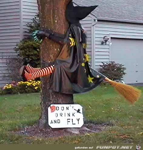Halloween Halloween