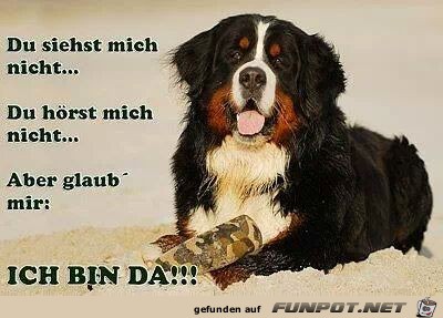 Du siehst... Du siehst...