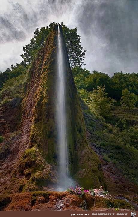 Ganz fantastische Bilder aus der Natur.