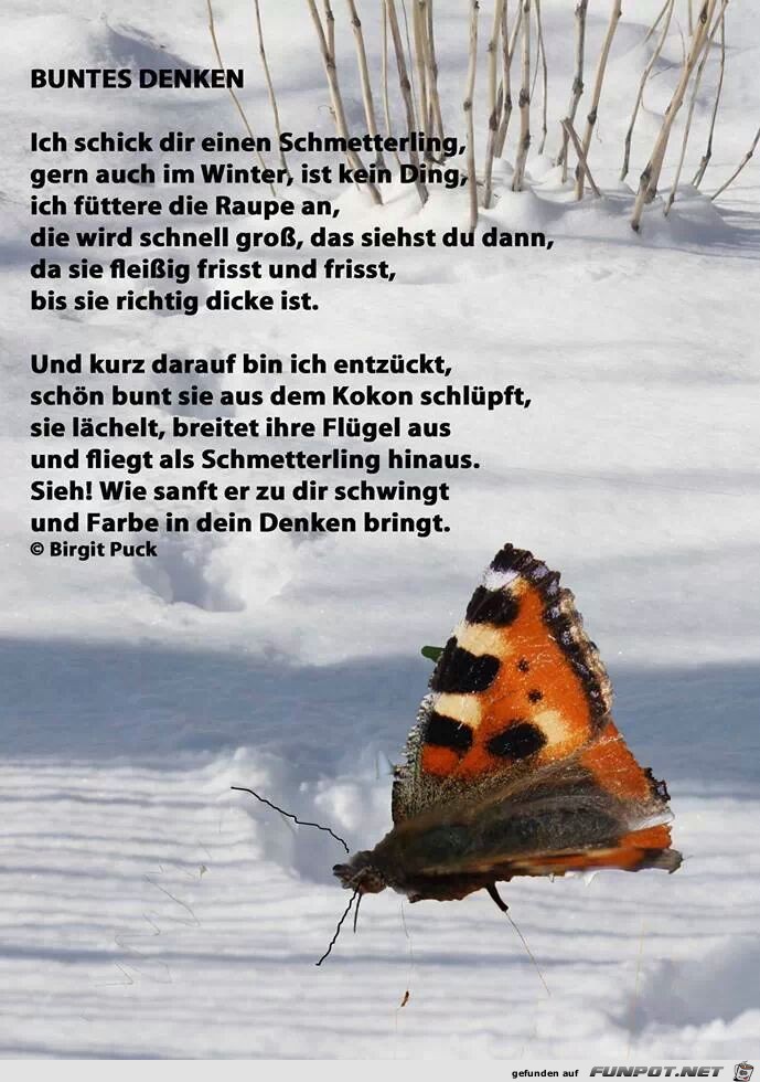 Buntes Denken... Buntes Denken...
