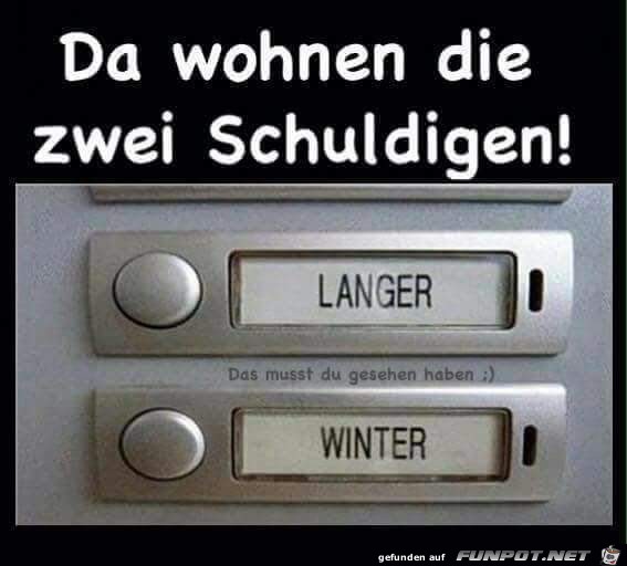 langer winter