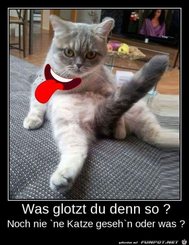 Was glotzt du denn so Was glotzt du denn so
