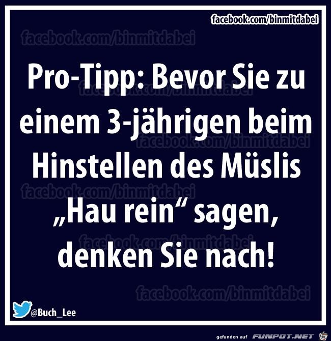 Tipp