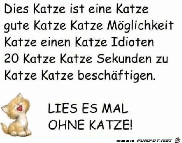 katze katze